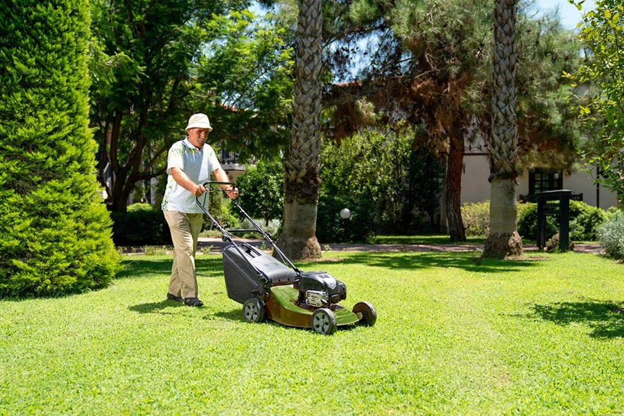 what is the best lawn mower
